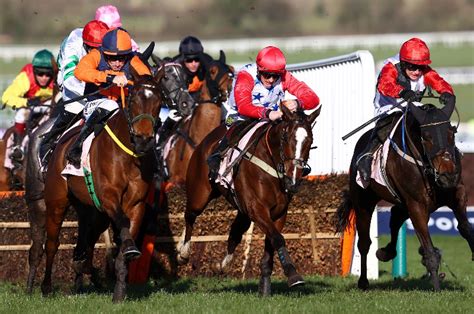 handicap hurdle odds
